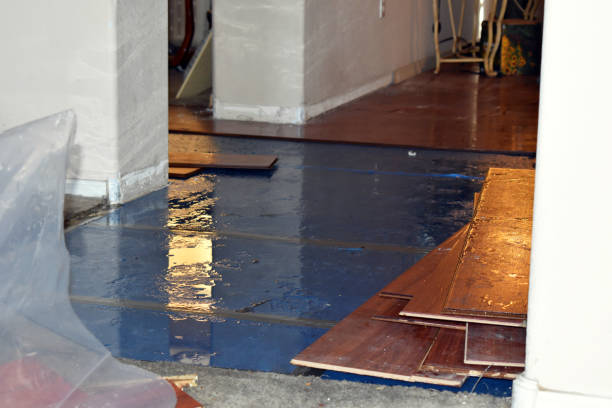 Professional Basement Flood Cleanup technician working in Crosby, TX